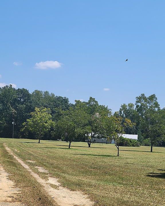 3645 Eddins Rd, Dothan, AL 36301 Zillow