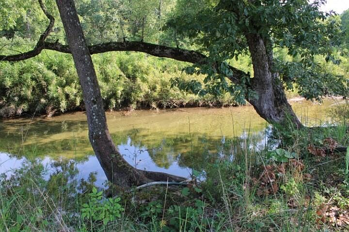 1st image of 880 Marion County #6076