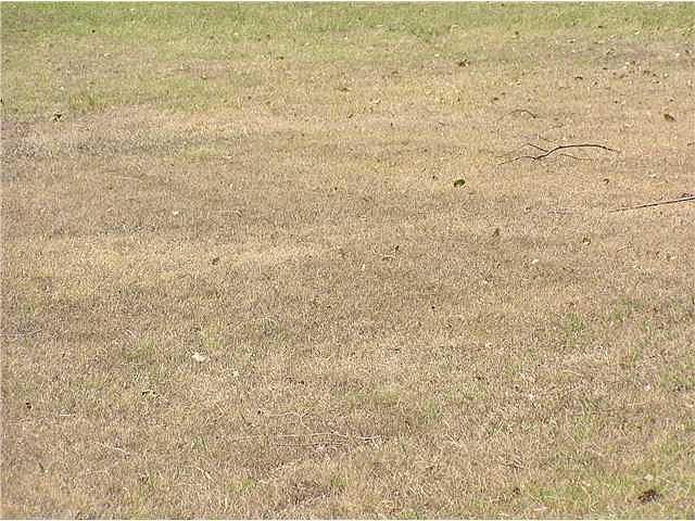 2nd image of 6445 Ranch Dr NE Lot 1