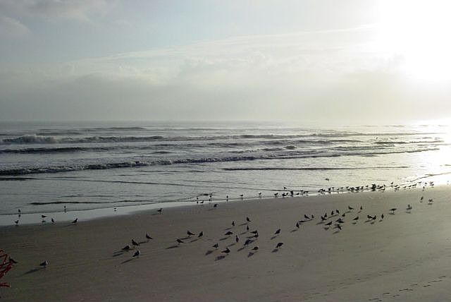 The Beach