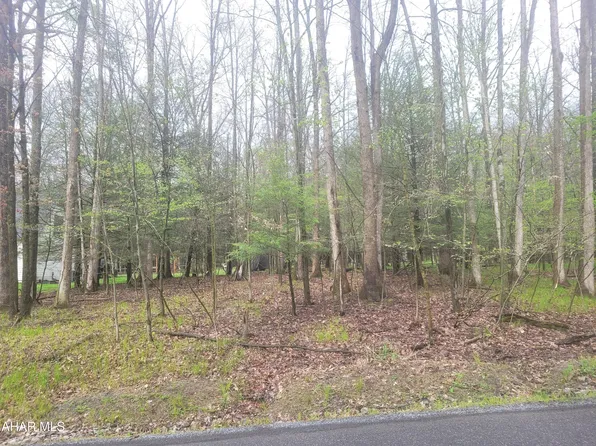 355 Troxell Spring Rd, Flinton, PA 16640