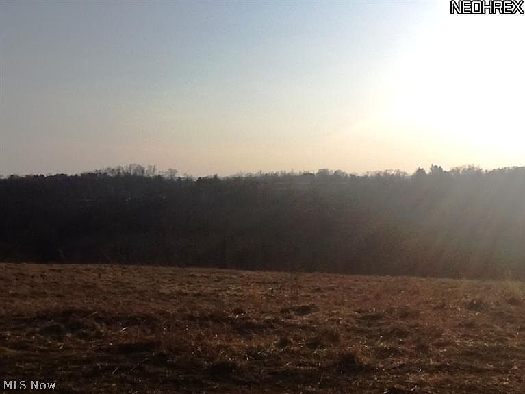 2nd image of Negus Rd