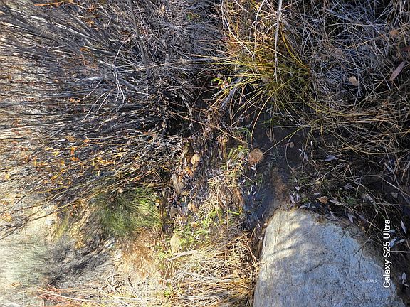 3rd image of 321-210-26 Cap Canyon Rd