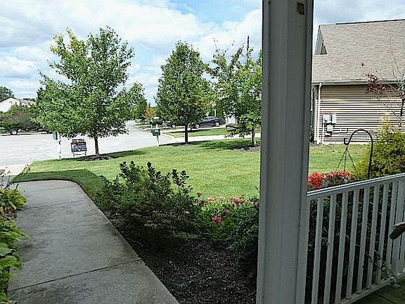 Front yard