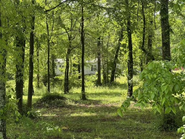 2278 County Road 95, Higdon, AL 35979