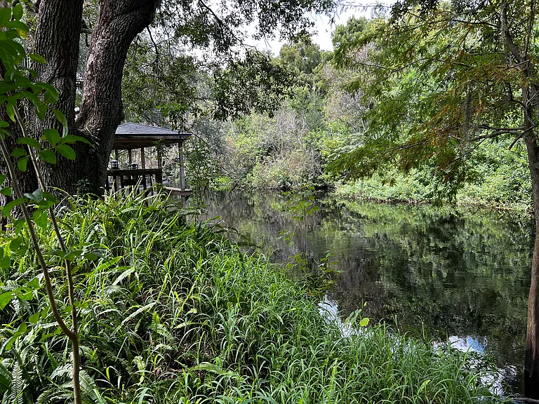 Backyard waterfront view