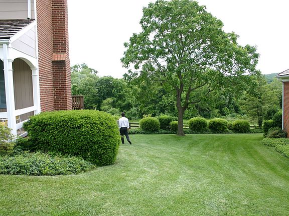 Low maintenance landscaping