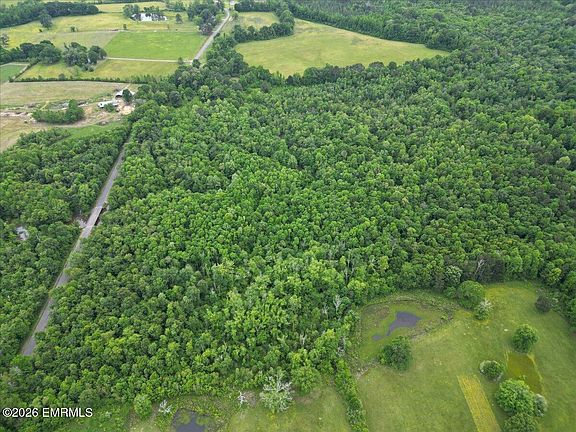 5th image of Lawrence Hazel Rd