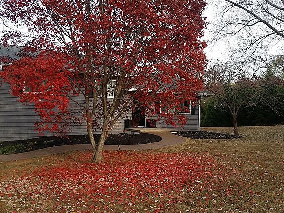 2nd image of 152 Farlow Dr