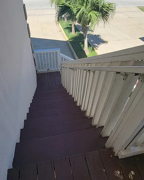 107 E Bahama St #7 — Photo 2