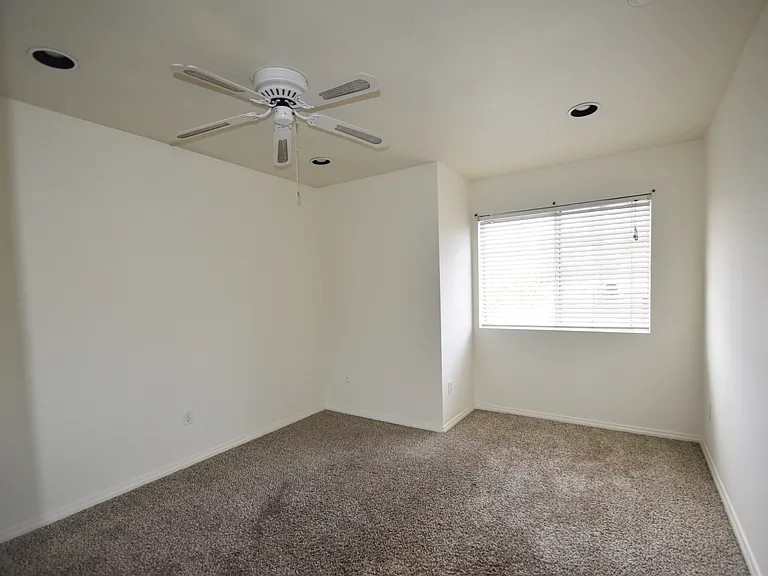 2951 Shady Pine St — Photo 22