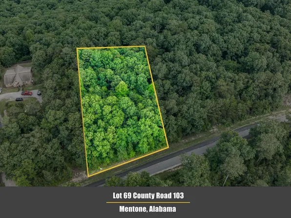 69 County Road 103, Mentone, AL 35984