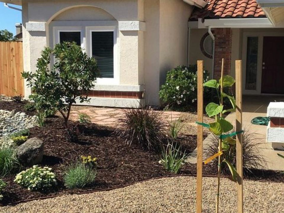 Low water landscaping 