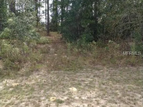 12346 Pitcairn St, Brooksville, FL 34613