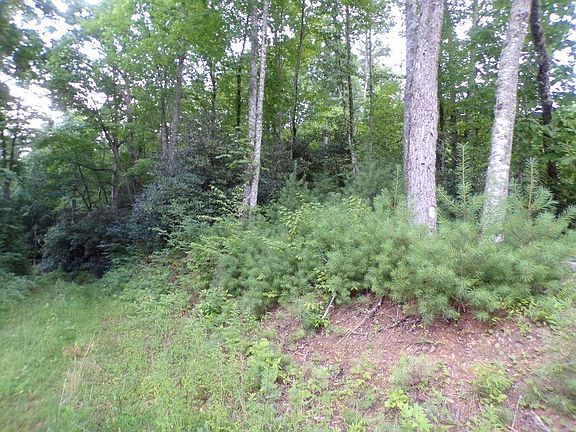 3rd image of Robinson Hollow Ln