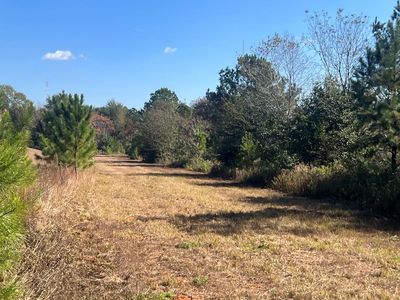 0 Highway 29, Troy, AL, 36081