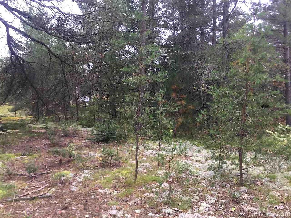 2nd image of 28 E Johnson Lake Rd