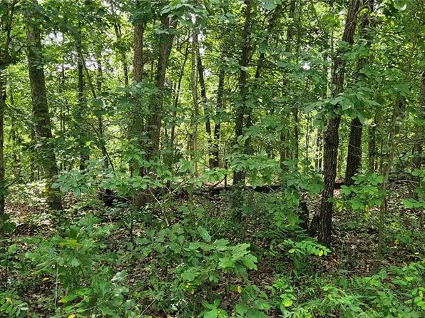 0 County Road 4050, Salem, MO 65560