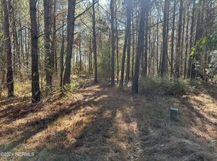 132 Pocosin Rd, Washington, NC 27889