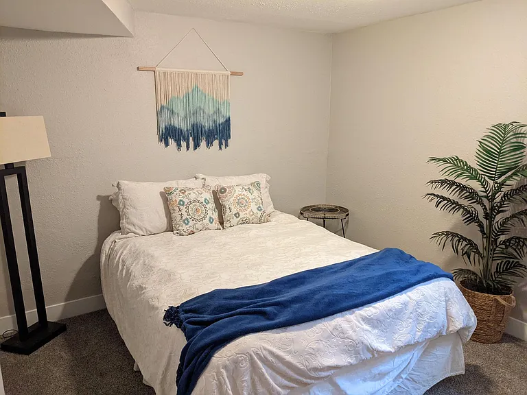 Basement bedroom with large closet