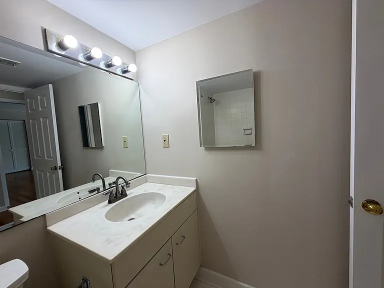 Guest bathroom vanity