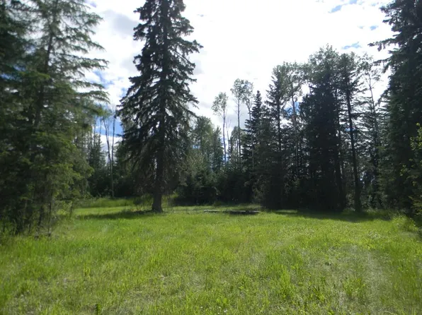 123 Meadow Ponds Dr, Clearwater County, AB T0M 0C0