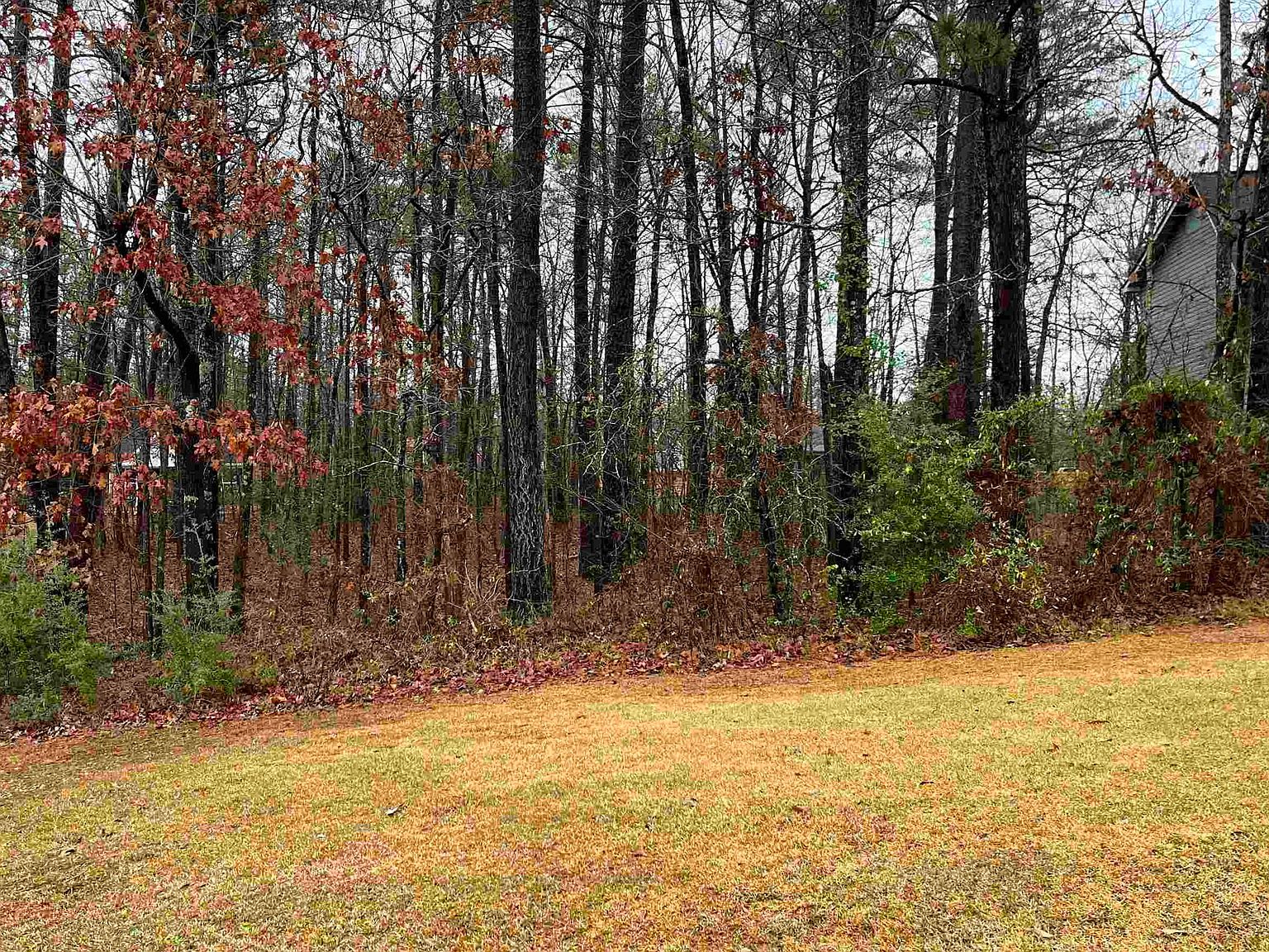 2 County Road 380, Centre, AL 35960 | MLS #1797951 | Zillow