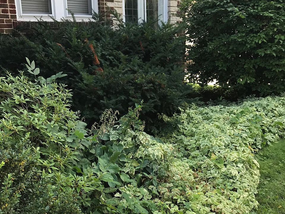 1st image of 1827 E Wood Pl