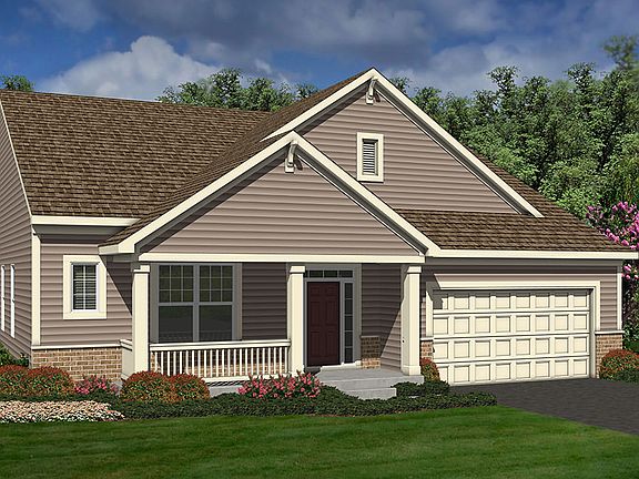 Elevation Image 1.