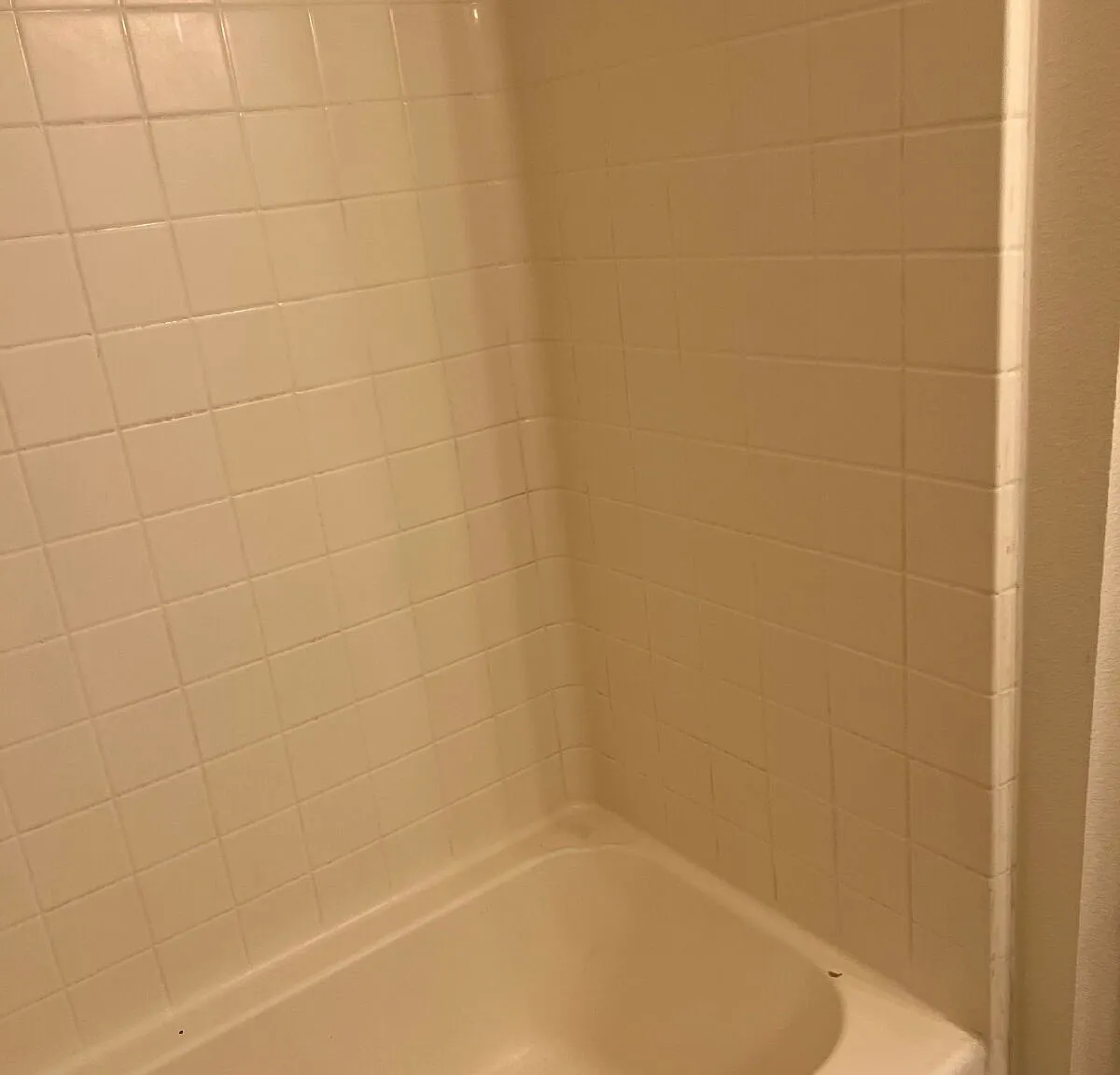 2 bed, 1.0 bath, 1100 sqft, $1,450 — Photo 3