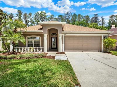 7642 Citrus Blossom Dr, Land O Lakes, FL, 34637