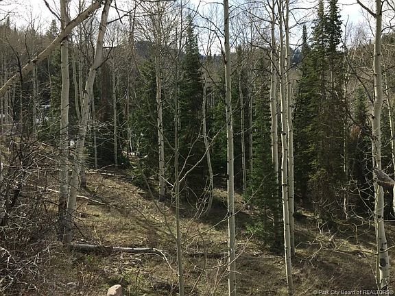 3rd image of 8885 Blue Spruce #761-B