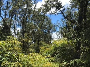 11-2030 Omeka Rd LOT 59, Volcano, HI 96785