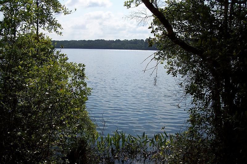 2nd image of 954 View Dr