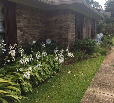 2nd image of 1 Woodfern Ln