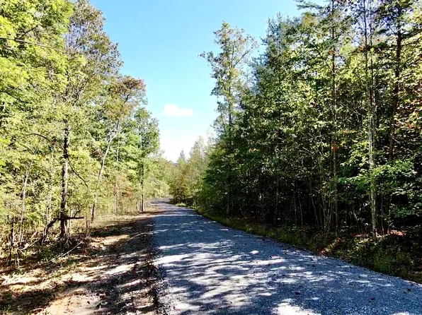 0 Owl Hollow Rd Lot 5, Palmer, TN 37365