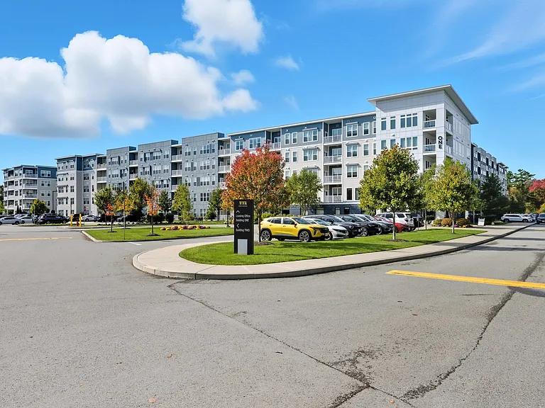 Viva Lakeshore — Photo 66