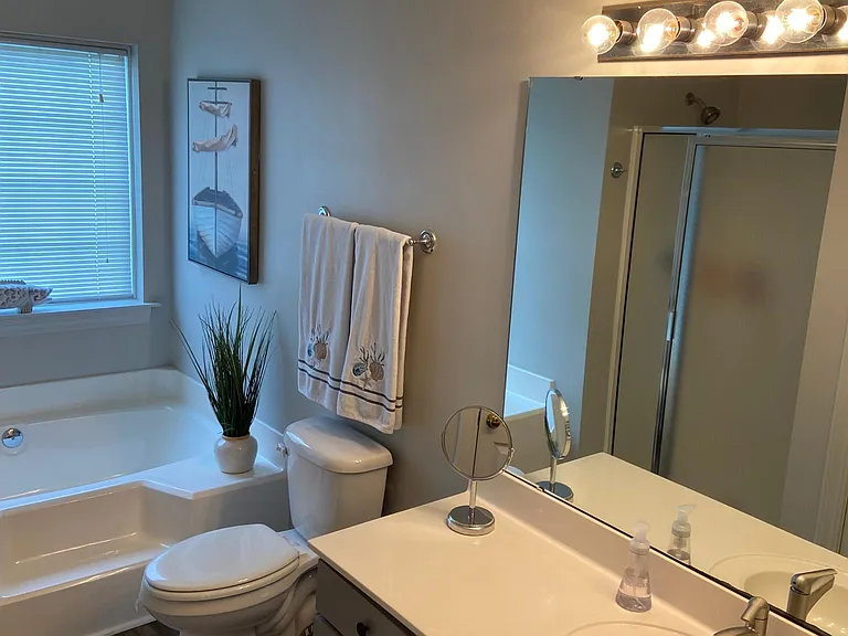 Master bath with soaker tub and shower