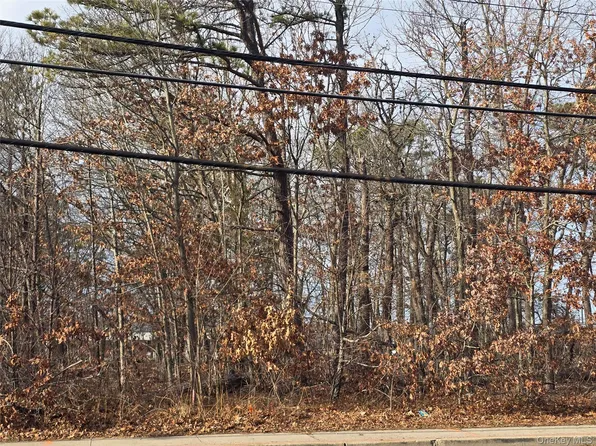 Vacant Land Mastic Road, Shirley, NY 11967