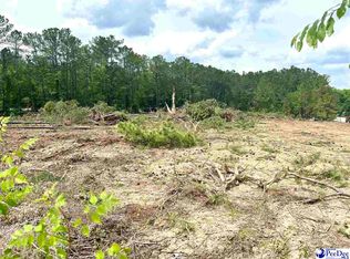 2211 Old Charleston Rd, Scranton, SC 29591