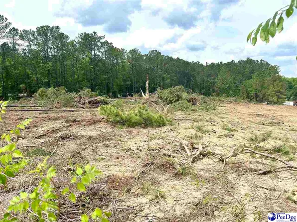 2211 Old Charleston Rd, Scranton, SC 29591