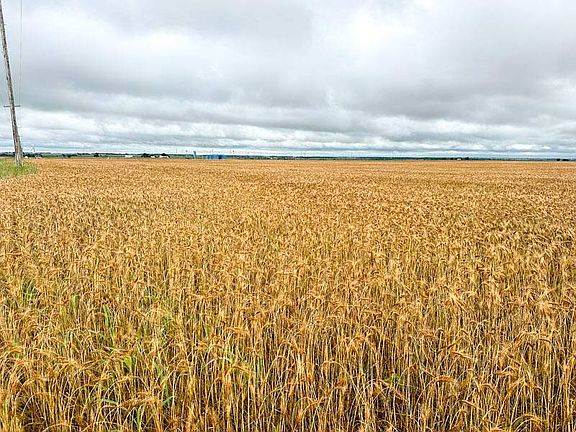 2nd image of Drummond Area