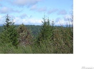 LOT 4th, Belfair, WA 98528