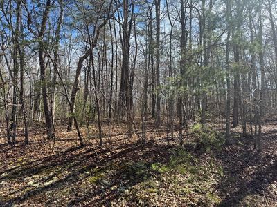 0 N Laurel Loop, Monterey, TN, 38574
