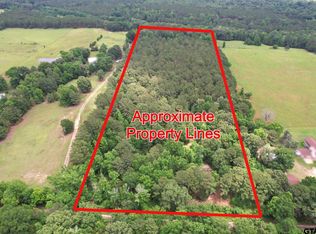 County Road 3986, Winnsboro, TX 75494