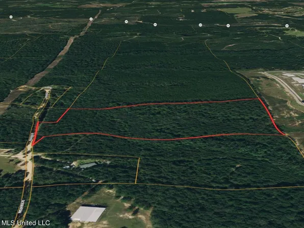 Nhn Prison Ridge Rd, Leakesville, MS 39451