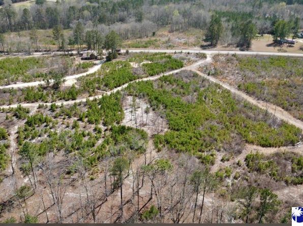 TRACT 3 Hallelujah Rd, Mount Croghan, SC 29727