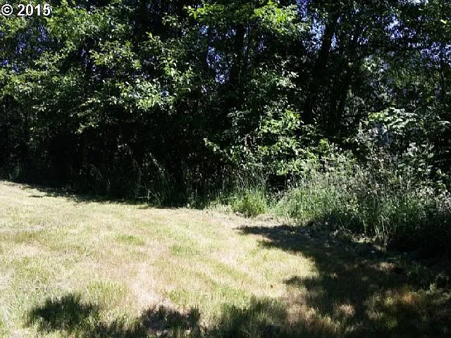 16836 Thompson Rd photo 1