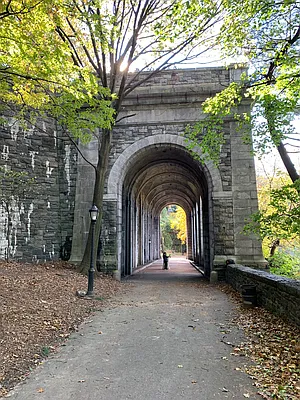 Rented by Compass | media 16