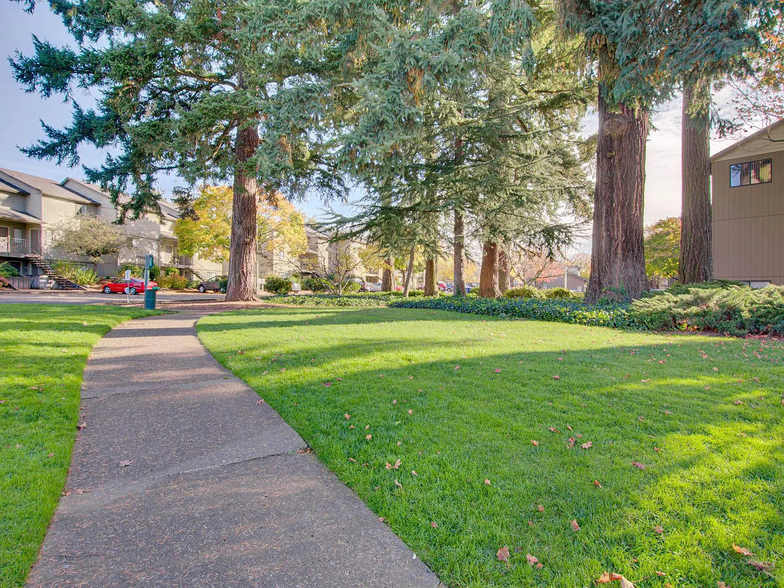 Aspenridge — Photo 4